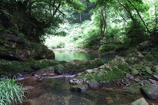 鱒留の滝 の写真(84) 2008年06月08日