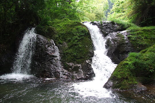 鱒留の滝 の写真(85) 2008年06月08日