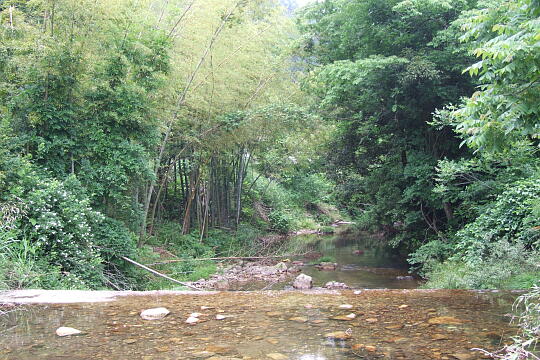 鱒留の滝 の写真(87) 2008年06月08日