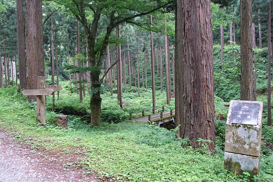 西俣大滝 の写真(82) 2008年06月08日