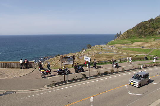 道の駅 千枚田ポケットパーク の写真(86) 2006年05月04日