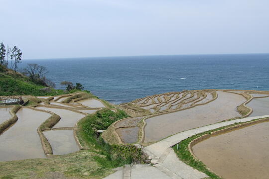 白米の千枚田(２) の写真(83) 2007年04月29日