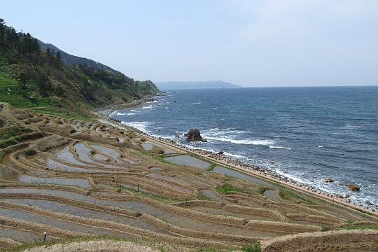 白米の千枚田(２) の写真(88) 2007年04月29日