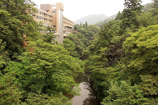 あやとり橋 の写真(86) 2005年06月26日