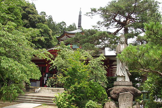 医王寺 の写真(83) 2005年06月26日