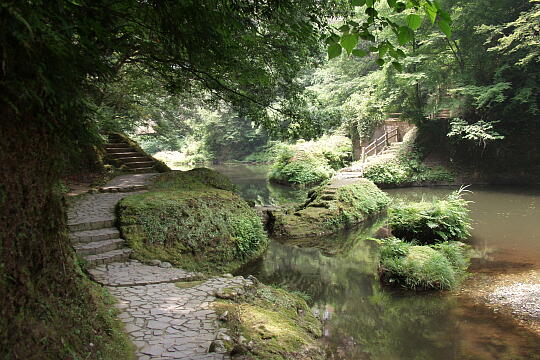 鶴仙渓（３） の写真(81) 2005年06月26日