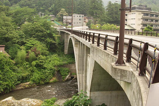 白鷺大橋 の写真(84) 2005年06月26日