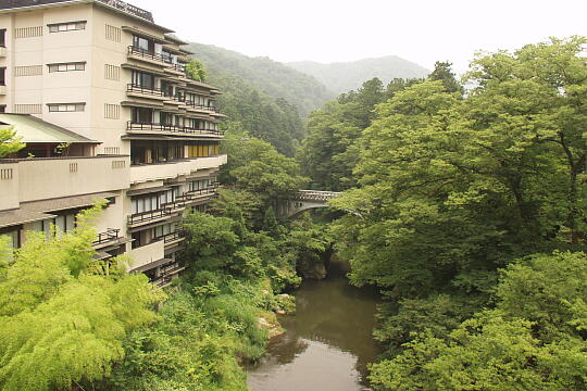 白鷺大橋 の写真(86) 2005年06月26日