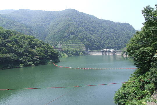 我谷吊橋・我谷ダム の写真(85) 2008年08月03日