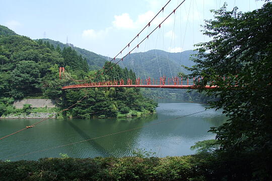 我谷吊橋・我谷ダム の写真(87) 2008年08月03日