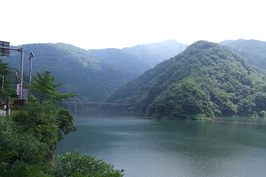 我谷吊橋・我谷ダム の写真(88) 2008年08月03日