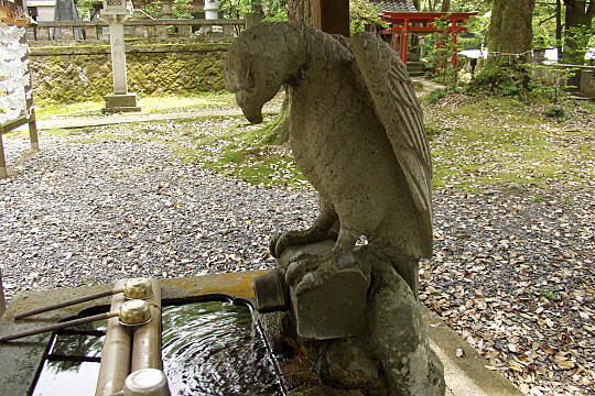 服部神社 の写真(87) 2005年05月29日