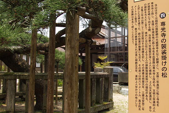 専光寺 の写真(83) 2005年05月29日