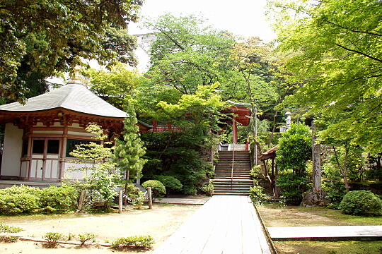 薬王院温泉寺 の写真(87) 2005年05月29日