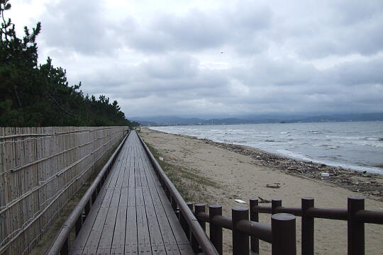 氷見市海浜植物園そばの海岸 の写真(82) 2006年09月17日