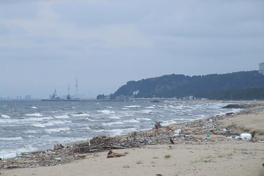 氷見市海浜植物園そばの海岸 の写真(85) 2006年09月17日