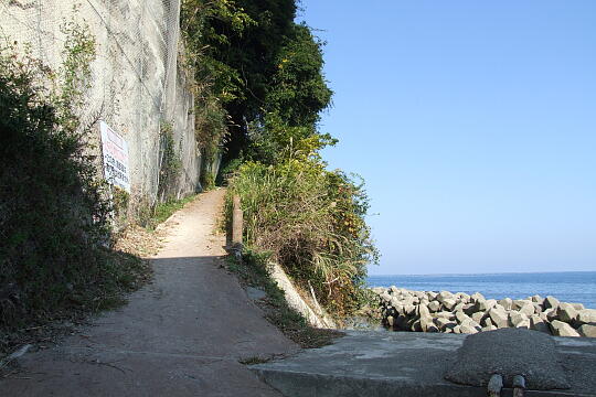 久殿浜遊歩道 の写真(83) 2008年10月19日