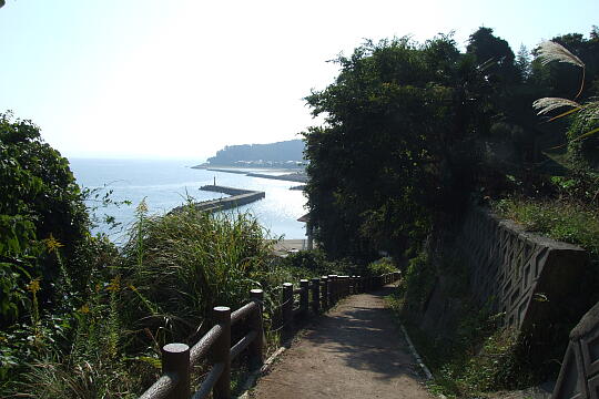 久殿浜遊歩道 の写真(86) 2008年10月19日