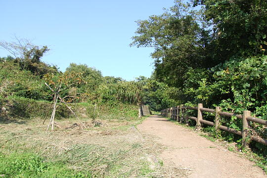 久殿浜遊歩道 の写真(87) 2008年10月19日