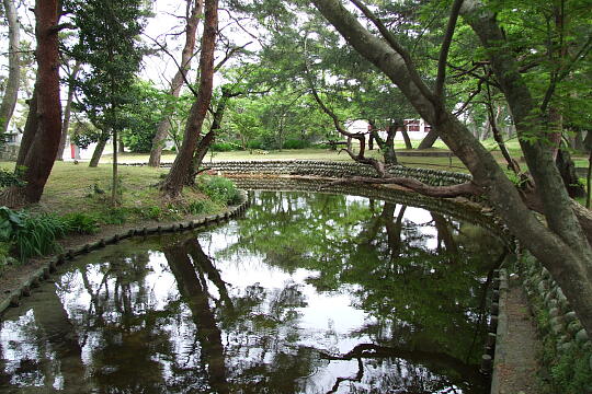 〔No.16〕月見嶋の清水 の写真(83) 2009年05月04日