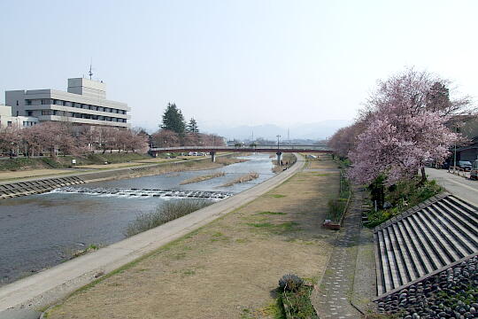 〔福光〕福光橋 の写真(85) 2008年04月06日