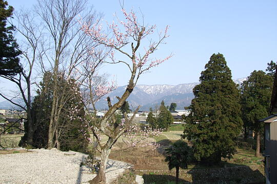 〔城端〕坡場の坂（はばのさか） の写真(85) 2008年04月06日