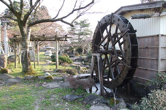 〔城端〕理休水車公園 の写真(82) 2008年04月06日