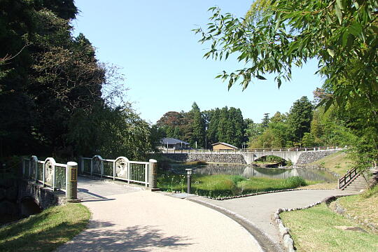 〔井波〕大門川河川公園 の写真(87) 2008年10月19日