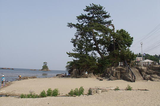 雨晴海岸・雨晴岩 の写真(84) 2005年06月25日