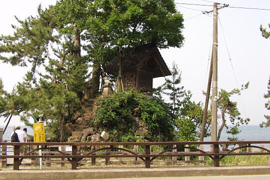 雨晴海岸・雨晴岩 の写真(87) 2005年06月25日