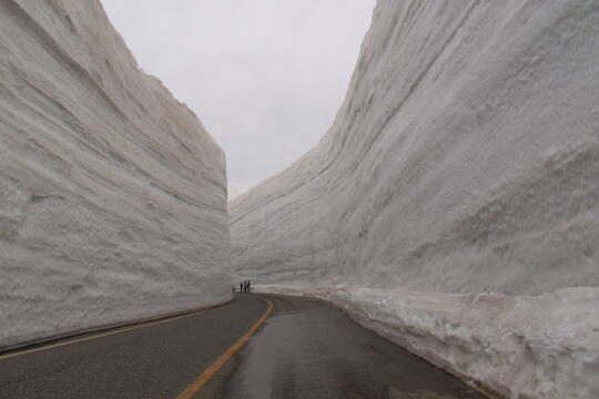 雪の大谷 の写真(81) 2006年05月06日