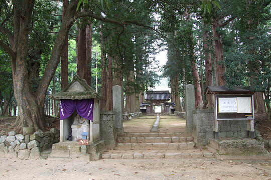 眼目山立山寺 の写真(89) 2009年05月04日