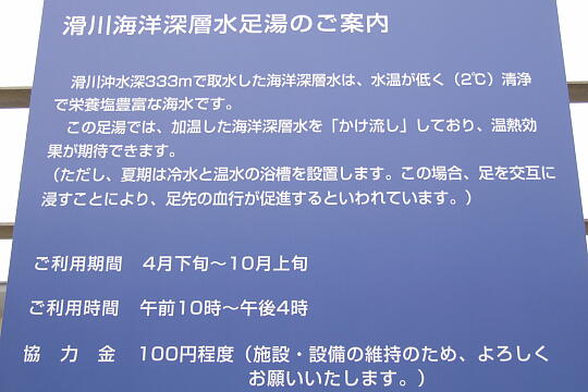 ほたるいかミュージアム・タラソピア の写真(84) 2008年06月07日